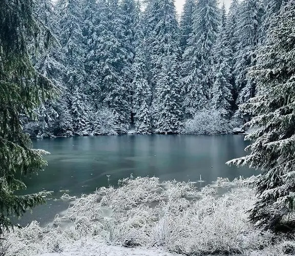 Jasná Franco Jacuzzi&sauna Apartamento *